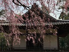 -醍醐寺