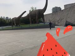 -安徽省地质博物馆