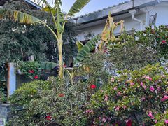 -瑞丰园庭院餐厅·白族传统家常菜
