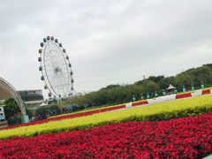 -百万葵园