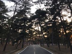 -清西陵