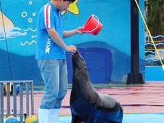 -汕头蓝水星欢乐世界