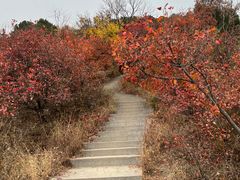-北京西山国家森林公园