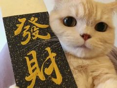 -叁宝烤肉·西安烧烤(东三爻店)