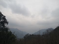 -张醪糟