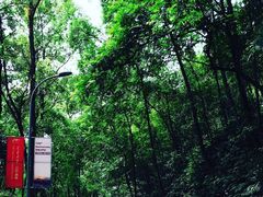 -西南交通大学(峨眉校区)