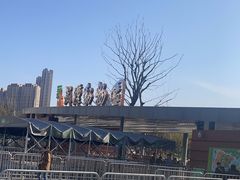 -武汉动物园