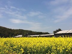 -龙寺生态园