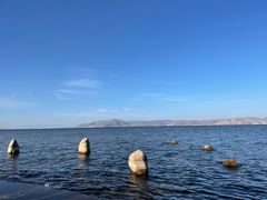 -洱海月湿地公园