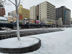 -札幌二条市场 大矶(本店)