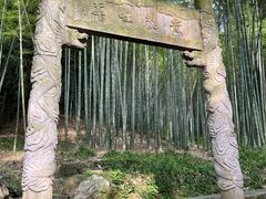 -杭州黄龙洞