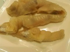 -鹅城