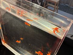 -海马体照相馆(正佳广场大师店)