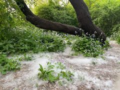 -北陵公园