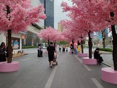 -东莞松山湖万象汇