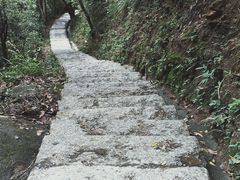 -马峦山郊野公园