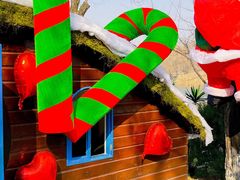 -Supine Bistro溯泮餐厅