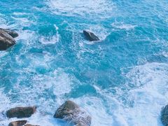 -广东惠东海龟国家级自然保护区
