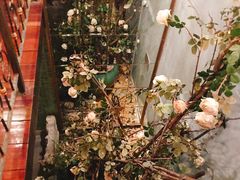 大堂-姗娜娜足道·SPA(古北店)