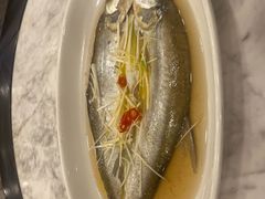 -三凤酒家·百年无锡菜(清扬茂业店)