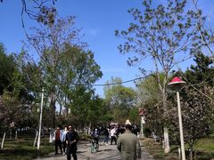 -长白岛森林公园