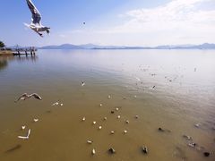 -深圳湾公园(南山区)
