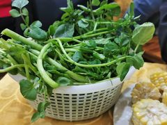 西洋菜-濠轩阁特色生蚝火锅(水湾路店)