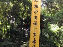 -杭州黄龙洞