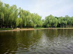 -泰丰公园