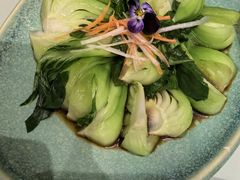 油淋上海青-鸢飞潍坊菜馆(鸢飞大酒店)