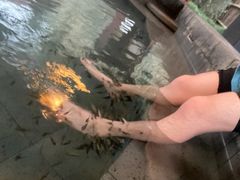 -扬州瘦西湖温泉