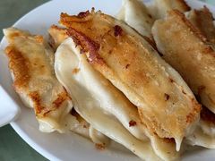 -青岛锅贴(四流中路店)