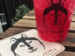 -TrueLove @ Neverland (Husky Cafe)