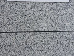 -东京都厅舍
