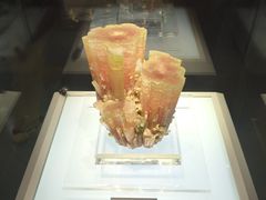 -安徽省地质博物馆