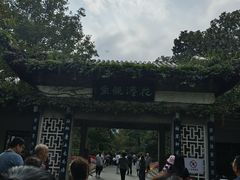 -西湖游船