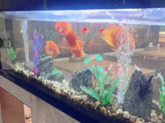 -水立方国际汤泉(六一中路店)