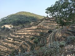 -象头山国家级自然保护区