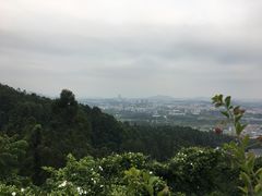 -火炉山森林公园