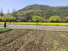 -八卦田遗址公园