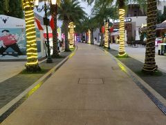 -南海渔家•海鲜•正宗海南菜(海棠湾店)