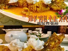 祥龙桂鱼-新聚丰菜馆(太监弄店)