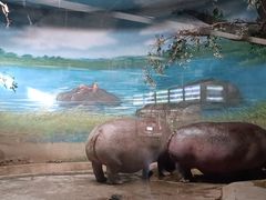 -北京动物园-畅观楼