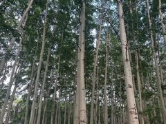 -北京中信金陵酒店