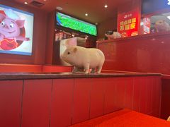 -猪角·闽南猪脚饭(上梅林店)