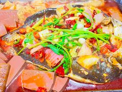 -黑猫馋纸包鱼(阳光店)