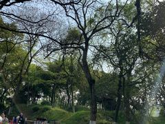 -八大山人梅湖景区