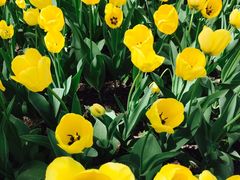 -长春公园(普阳街道)