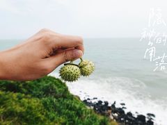 -硇洲岛旅游区