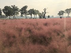 -汉长安城未央宫国家考古遗址公园